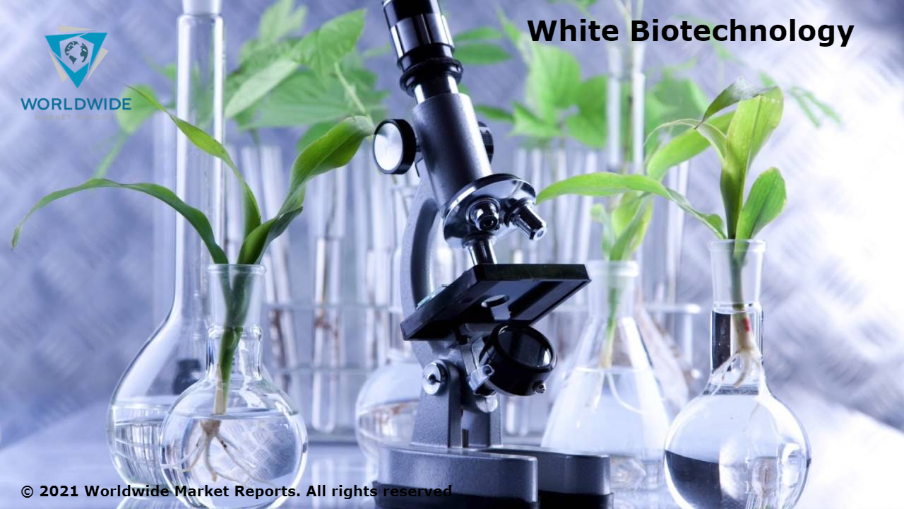 White Biotechnology Market 2022 Remarkable Growth Factors That Is